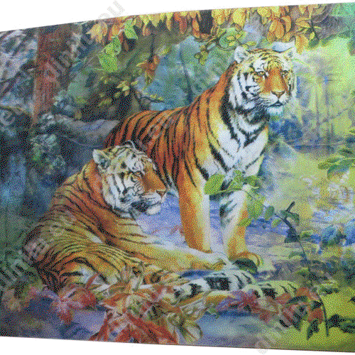 Lenticular print 25x35cm image