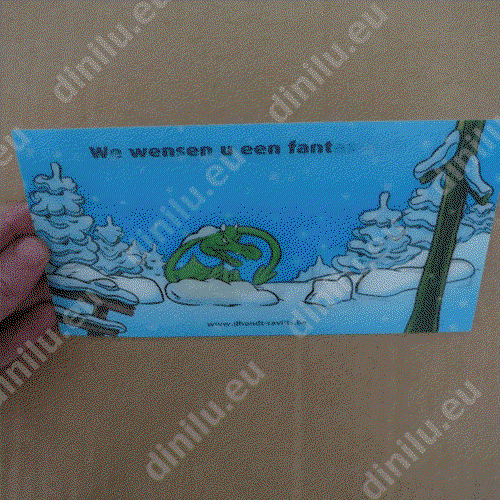 Lenticular print 12x17cm image
