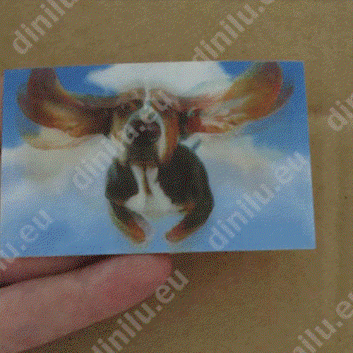 Lenticular print 54x86mm image